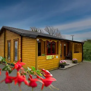 Red Robin Nest , Galway Irlanda